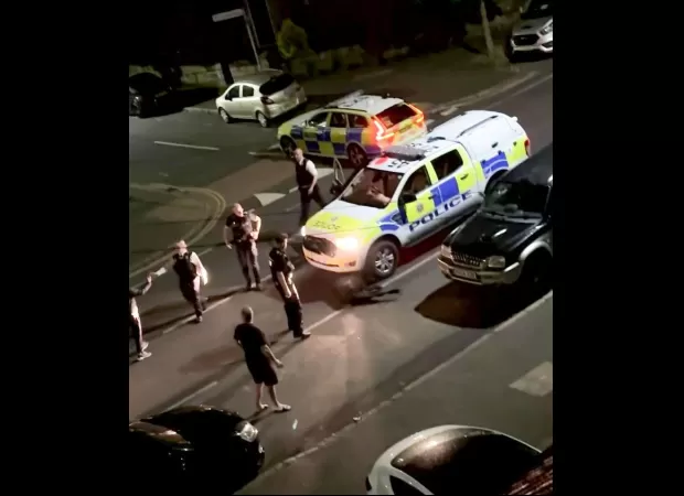 A police car colliding with a cow on the street is being investigated as a potential crime.