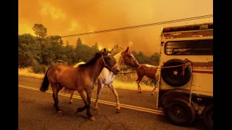 A man accused of starting a California wildfire that has already consumed 200 square miles is facing charges.