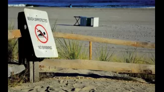 Historic Black Beach in New Orleans, Lincoln Beach, is scheduled to reopen in the coming year.