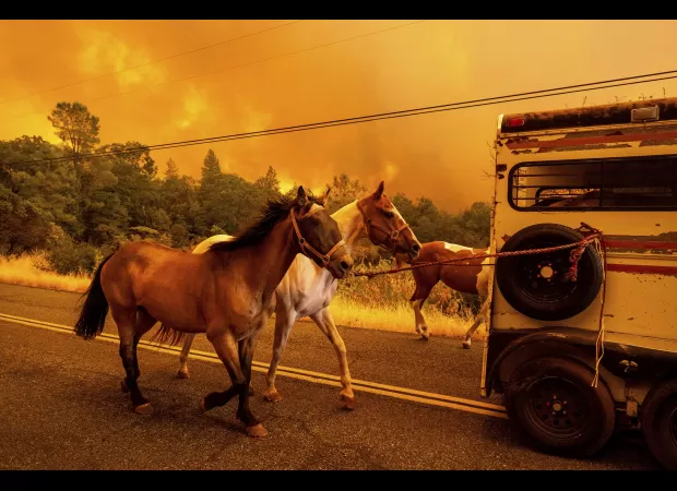 A man accused of starting a California wildfire that has already consumed 200 square miles is facing charges.