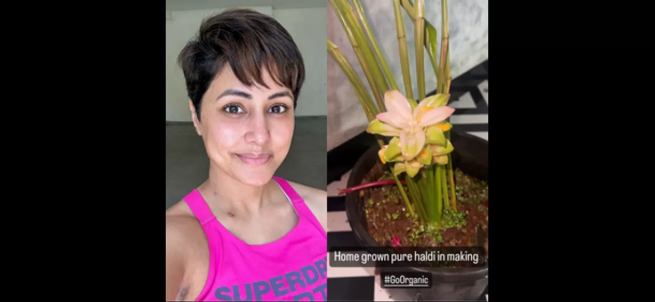 Hina Khan is cultivating turmeric while undergoing cancer treatment.