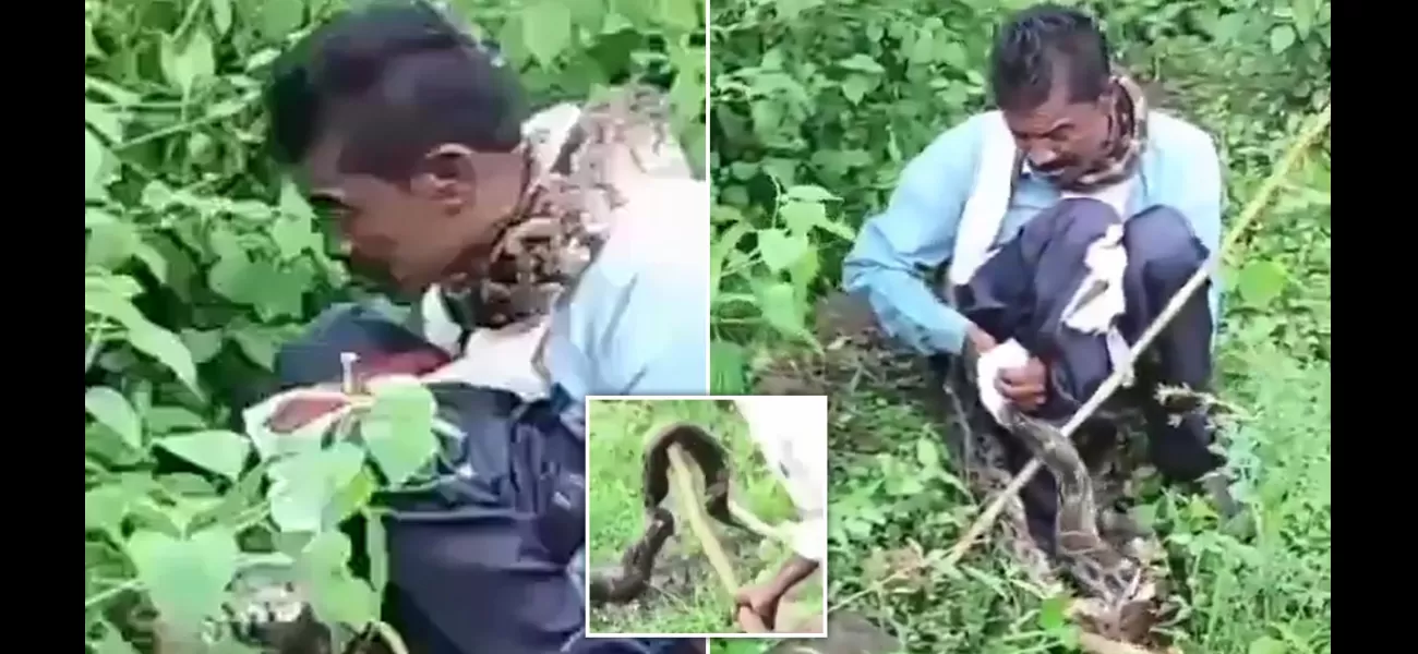 Enormous 17-ft snake attacks man while peeing in bushes.