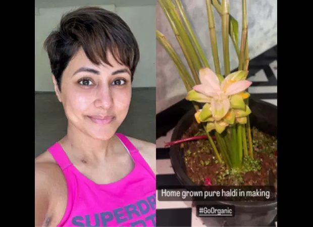 Hina Khan is cultivating turmeric while undergoing cancer treatment.