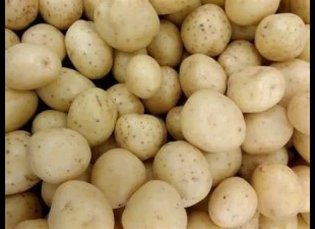 Orissa's leader meets West Bengal's leader in the capital, talks about shortage of potatoes.