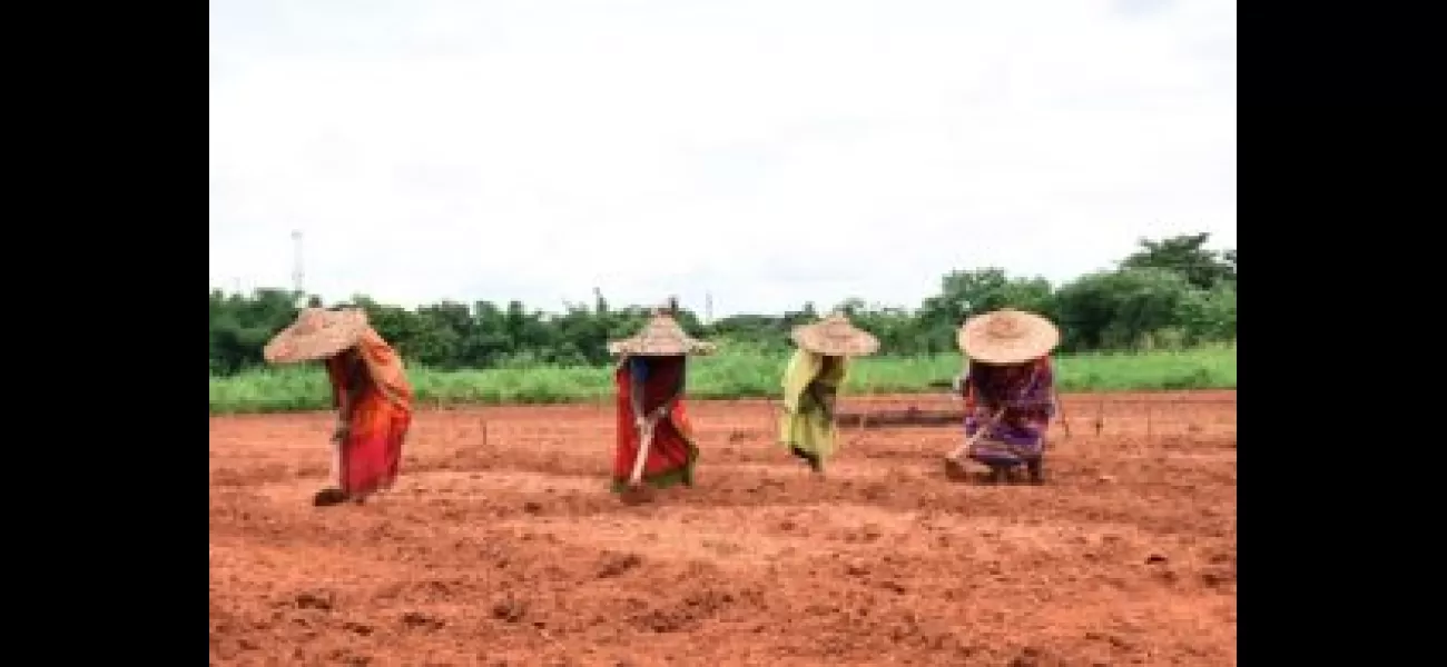Photos of the state of Odisha, captured on the present day.