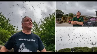 3,000 seagulls invade town, residents unsure how to handle situation.