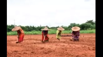 Photos of the state of Odisha, captured on the present day.