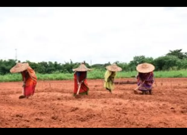 Photos of the state of Odisha, captured on the present day.