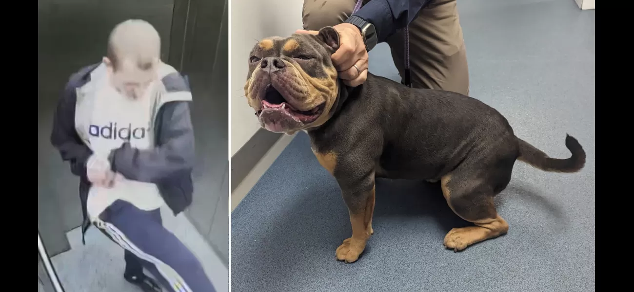 A 22-year-old man was caught stomping on the head of a helpless puppy named Biscuit.