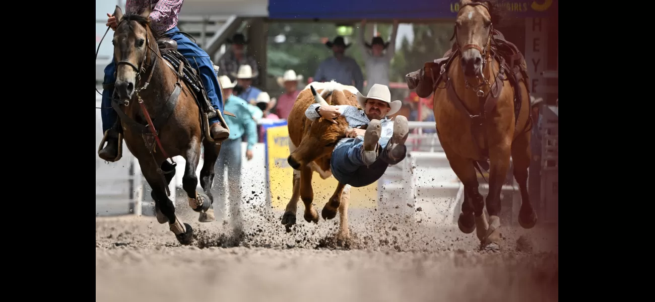 Photos from the Sunday rodeo event at the 2024 Cheyenne Frontier Days.