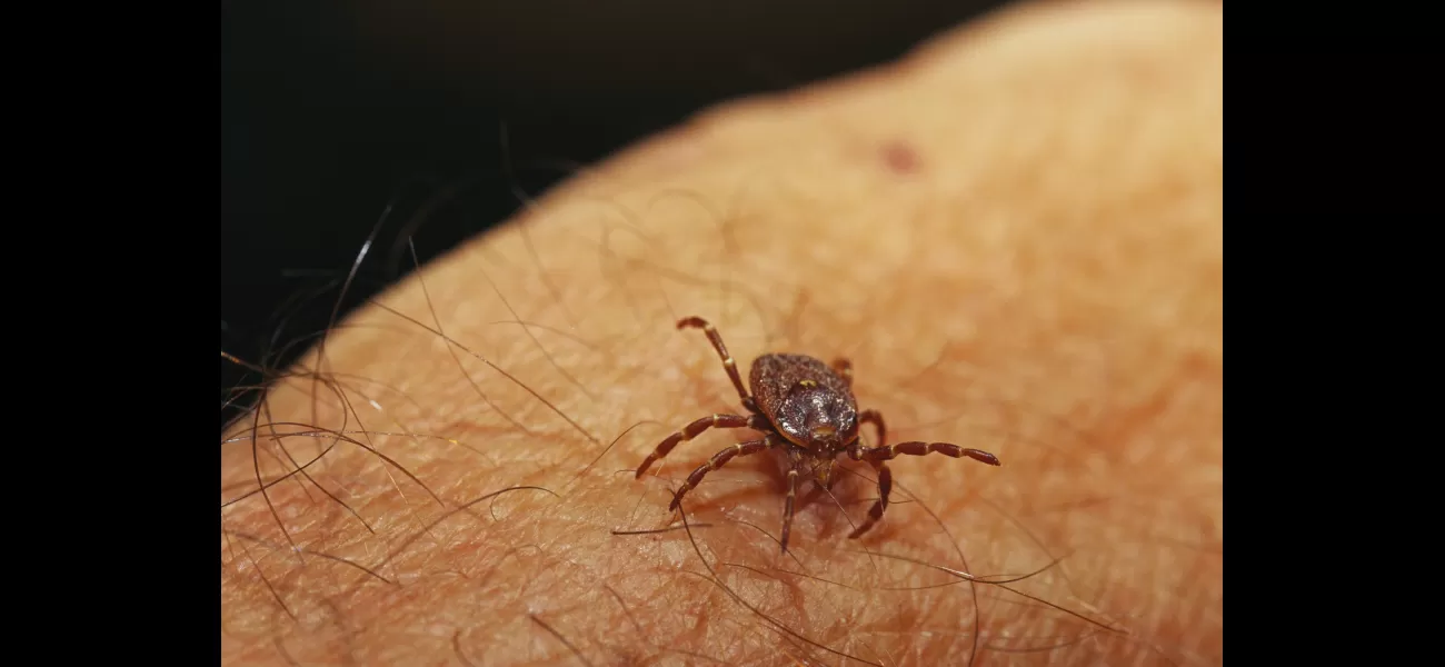 Deadly virus from tick bite causes death due to 'bleeding eyes' illness.