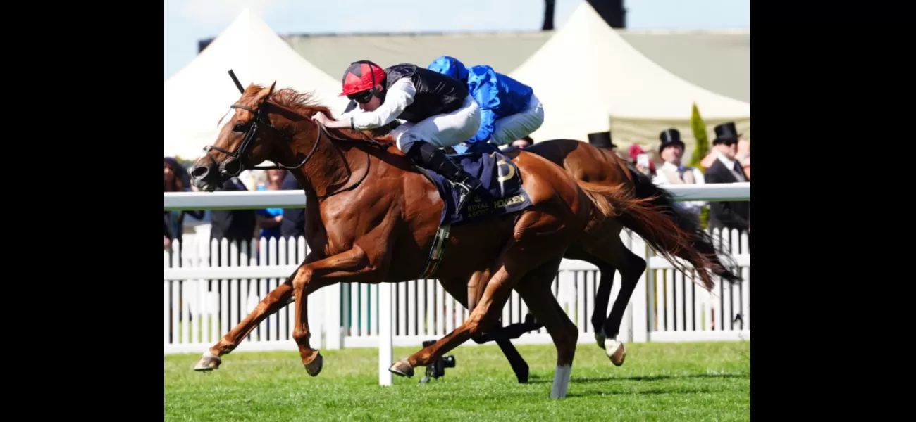 Pogo's impressive performance on the first day of Glorious Goodwood will delight bettors with its high odds.