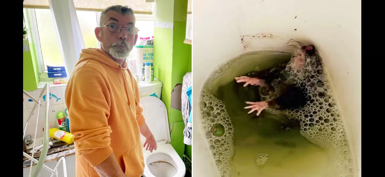 A couple is tormented by rats that gnaw on them while they sleep and even invade their toilet.