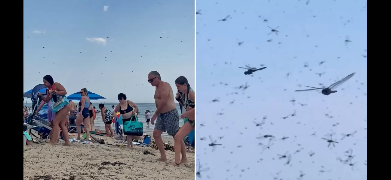 People on beach attacked by dragonflies, reminiscent of biblical plague 'apocalypse'.