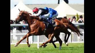 Pogo's impressive performance on the first day of Glorious Goodwood will delight bettors with its high odds.