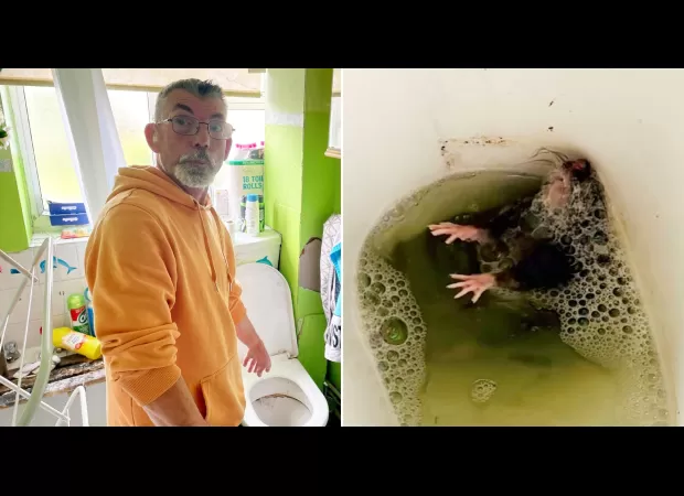 A couple is tormented by rats that gnaw on them while they sleep and even invade their toilet.