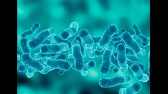Melbourne is experiencing a sudden outbreak of Legionnaires' disease, prompting a health alert.