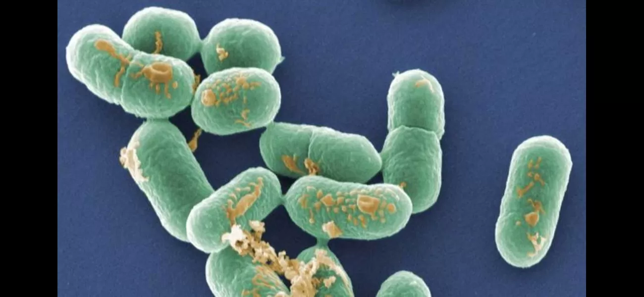 Product recalled due to possible hazardous contamination, posing a serious threat to consumers.