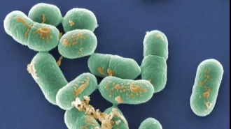 Product recalled due to possible hazardous contamination, posing a serious threat to consumers.