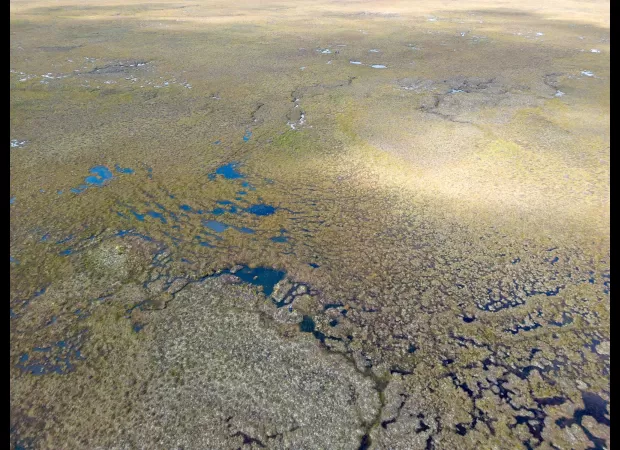 The Flow Country in Scotland has been recognized by Unesco as a World Heritage site.