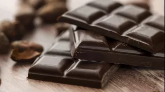 Dark chocolate may contain harmful heavy metals, according to a recent study.