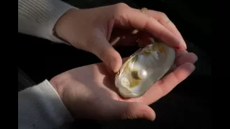 Historic auction to feature largest ever Scottish freshwater pearl.
