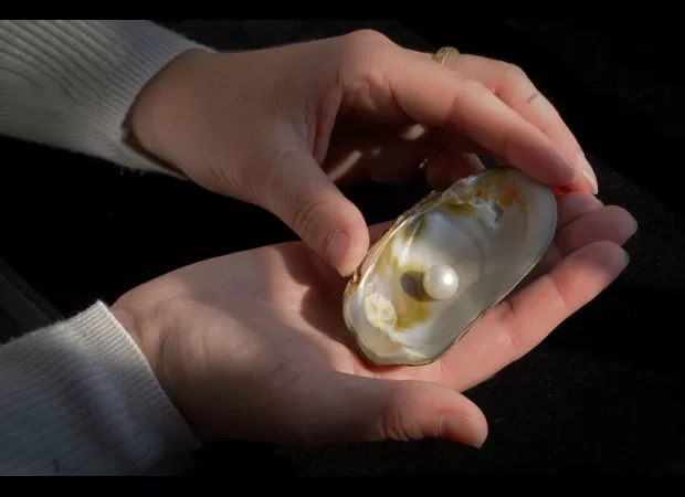 Historic auction to feature largest ever Scottish freshwater pearl.