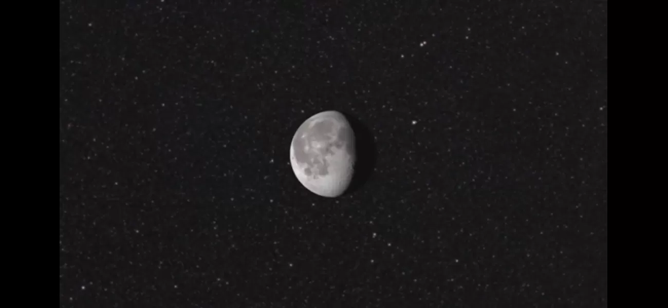 Scientists aim to protect Earth's species by cryogenically storing them on the moon.