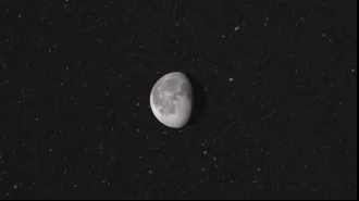 Scientists aim to protect Earth's species by cryogenically storing them on the moon.