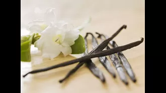 A beloved fragrance is at risk of disappearing, along with sponge cake.