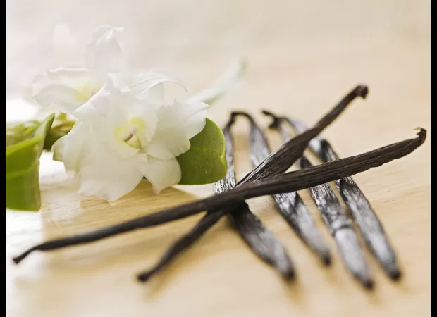 A beloved fragrance is at risk of disappearing, along with sponge cake.