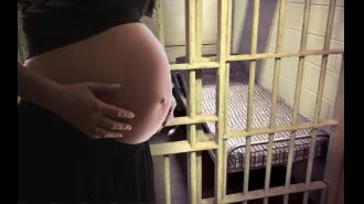 Dallas adoption agency owner accused of attempting to purchase unborn children from incarcerated women.