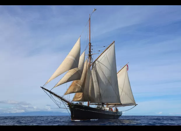 Experience the adventure of sailing on a pirate ship in real life, for a price.
