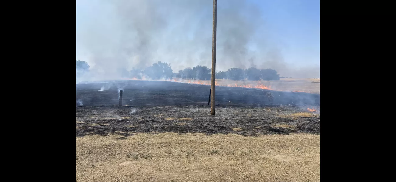 An electrocuted bird's burning body sparked a July fire in Arapahoe County, according to officials.