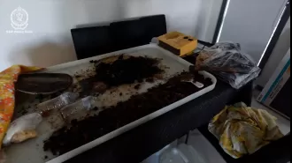 Sydney man charged for running an illegal drug lab that was recently discovered.