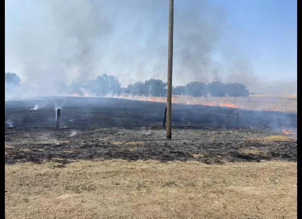 An electrocuted bird's burning body sparked a July fire in Arapahoe County, according to officials.