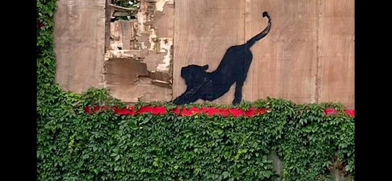 Is this the 6th Banksy in a week? Cat seen stretching on London billboard.