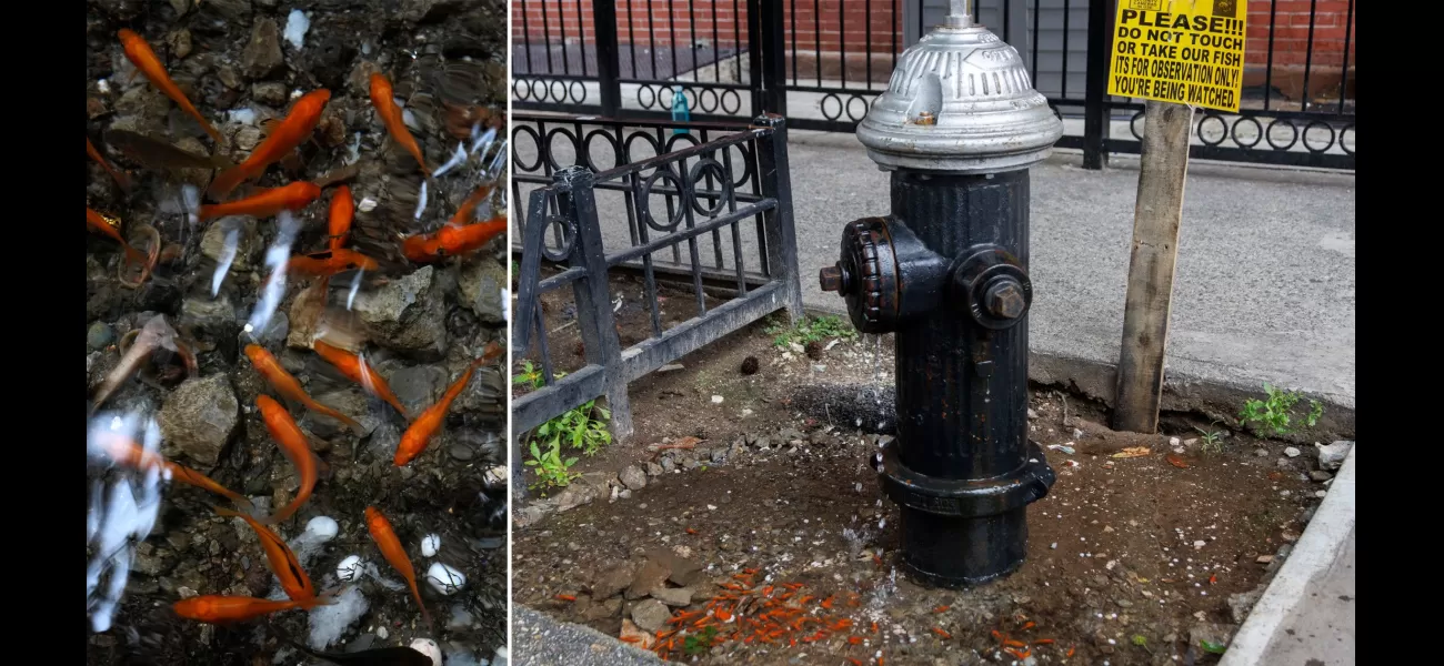 Leaky fire hydrant becomes small fish pond, some unhappy with decision.