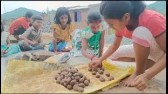 Daringbadi students create seed balls to promote tree planting.