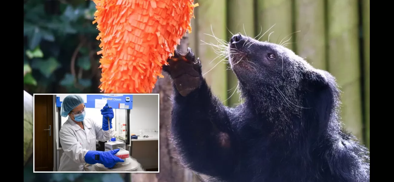 Unique creature’s remains will be preserved with special technique after passing away at wildlife park

A rare 