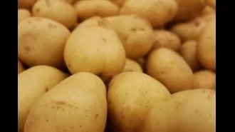 The government of Odisha has begun selling 3 kg of potatoes for Rs 100 at PDS stores.