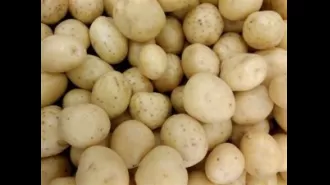 Odisha's leader asks West Bengal's leader to increase availability of potatoes.