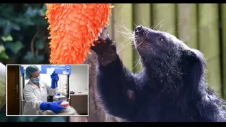 Unique creature’s remains will be preserved with special technique after passing away at wildlife park

A rare 