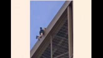 A person climbing Eiffel Tower causes evacuation before closing ceremony.