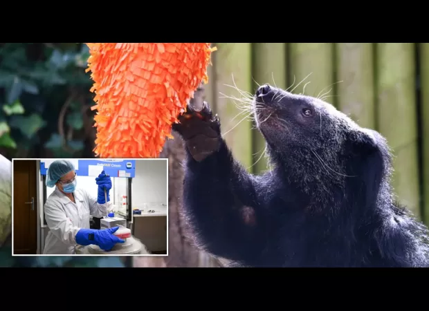 Unique creature’s remains will be preserved with special technique after passing away at wildlife park

A rare 