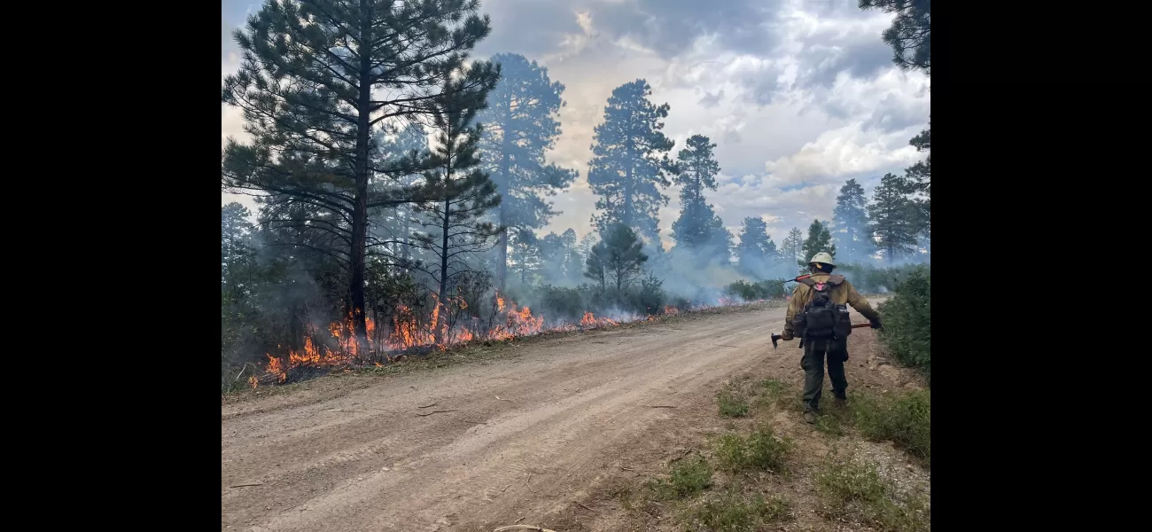 Bucktail fire in Montrose County now 60% contained - Colorado wildfire update