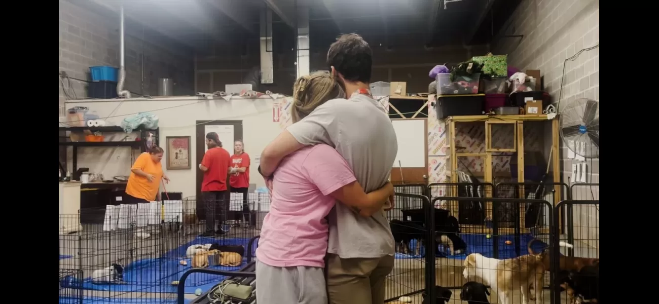 11 puppies exposed to rabies during adoption event in Sheridan; owners saddened by euthanasia decision