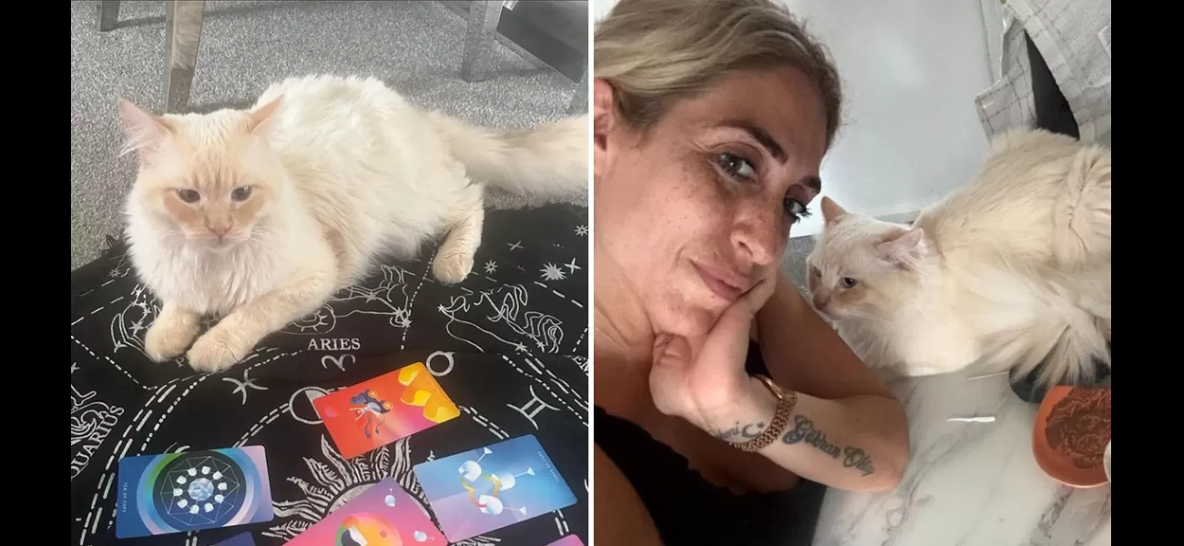Me and my cat are both psychic, he assists me with tarot readings and mind reading.
