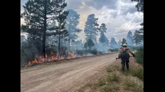 Bucktail fire in Montrose County now 60% contained - Colorado wildfire update