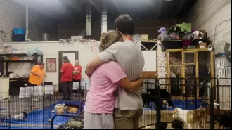 11 puppies exposed to rabies during adoption event in Sheridan; owners saddened by euthanasia decision